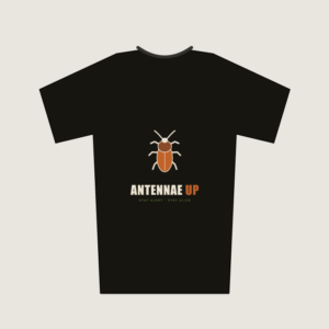 Antennae Up minimalist cockroach graphic t-shirt - black cotton tee